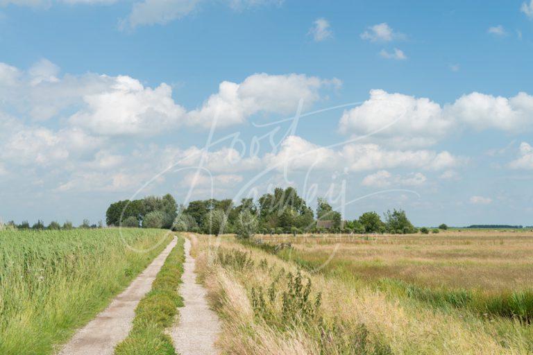 Polderweggetje in Alblasserwaard D8E034240