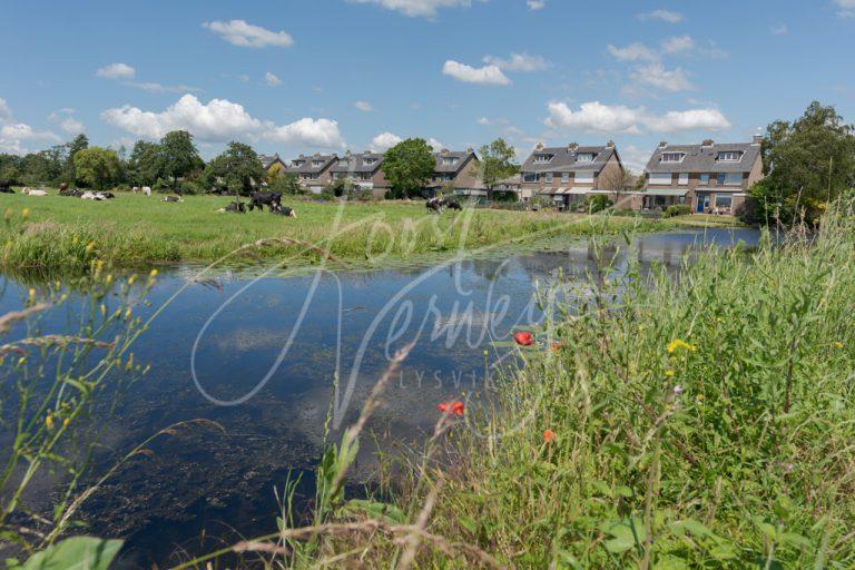 Landelijk wonen aan rand Streefkerk D8101462