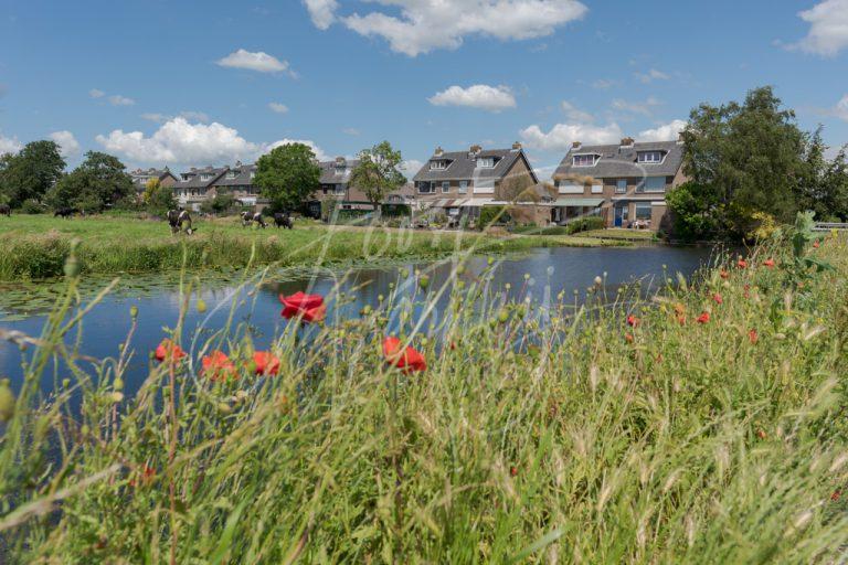 Landelijk wonen aan rand Streefkerk D8101466