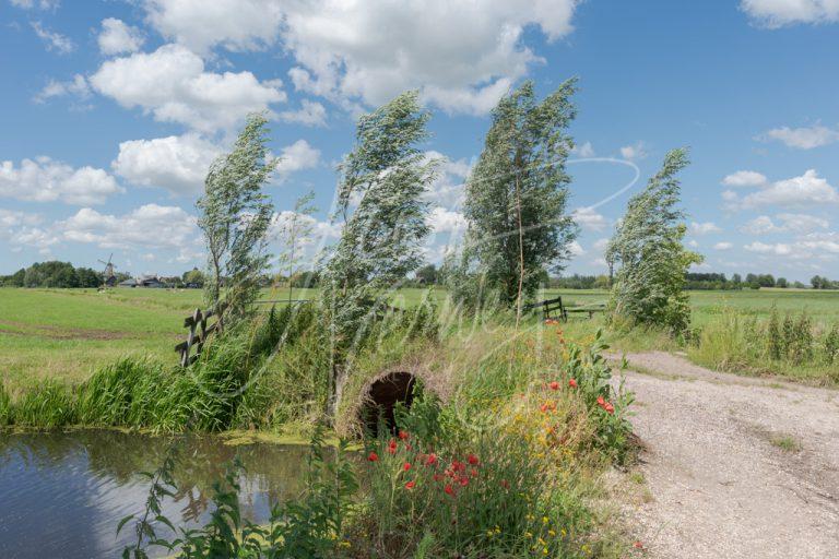 Polderlandschap Alblasserwaard D8101492