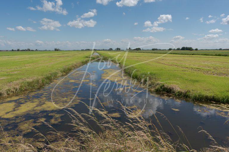 Weids polderlandschap in Alblasserwaard D8101503