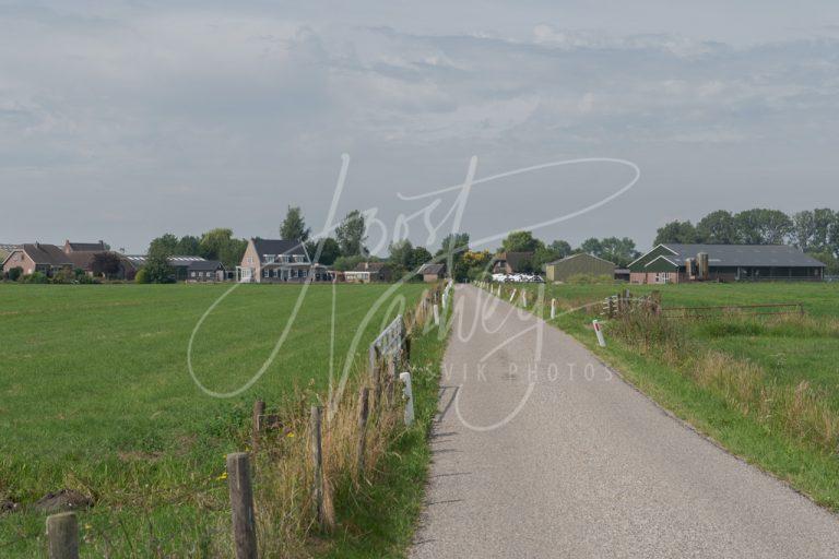 Polderweg naar De Kooi D8101942