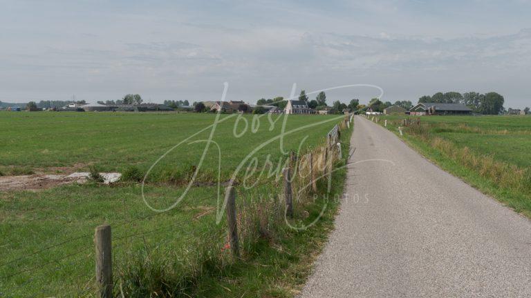 Polderweggetje naar De Kooi D8101943