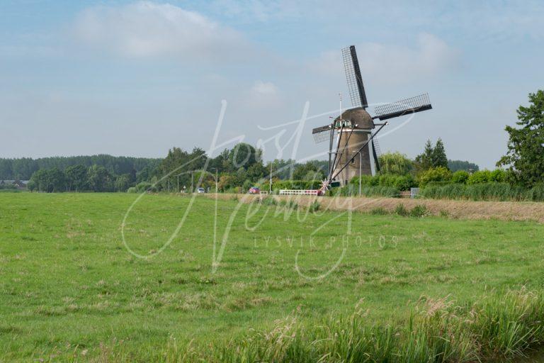 Kooiwijkse molen in Oud-Alblas D8102064