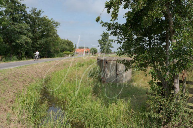 Fietser op polderweg bij buurtschap Kooiwijk D8102082