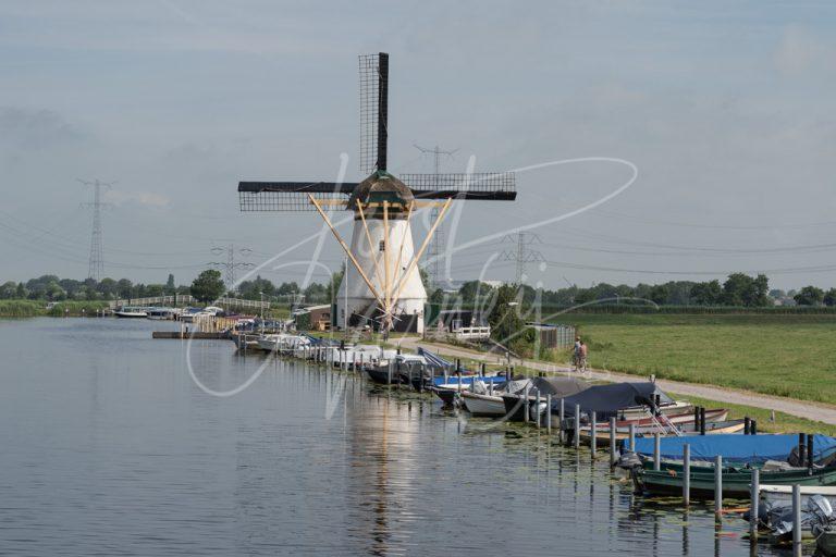 Kortlandse molen in Alblasserdam D8102135