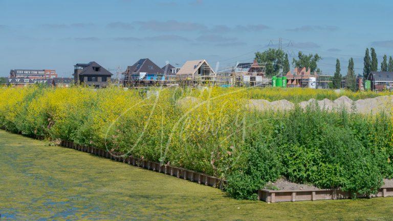 Nieuwbouw deelgebied Eilanden in Land van Matena D8E034383