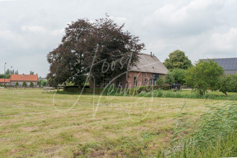 Boerderij in het buurtschap Minkeloos D8101985