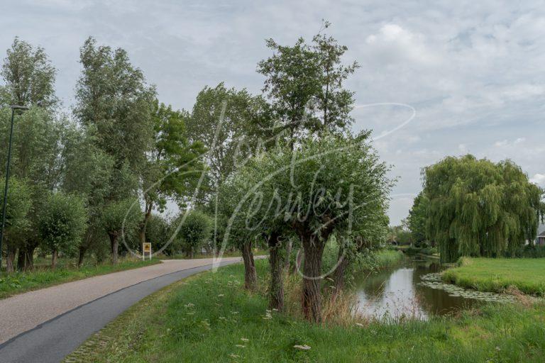 Veel groen langs het polderweggetje Minkeloos D8101998