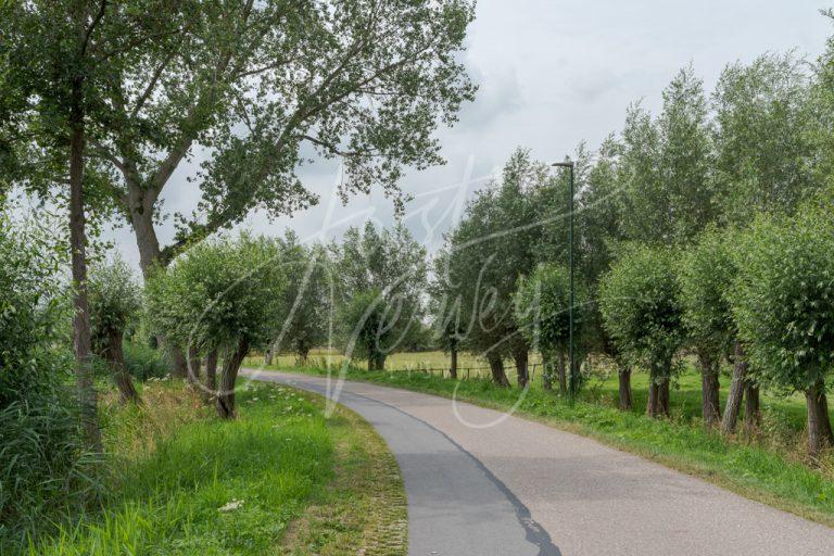 Veel groen langs het polderweggetje Minkeloos