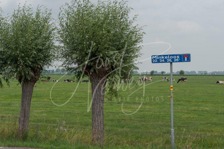 Straatnaambord Minkeloos D8102005