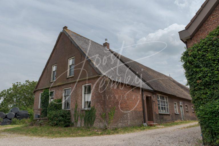 Oude boerderij in Minkeloos D8102009