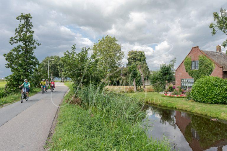 Fietsers op Brandwijksedijk in de polders van de Alblasserwaard D8102688