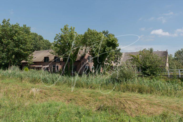 Boerderij aan de Slingelandseweg 1 D8102693