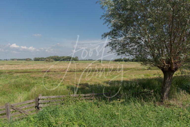 Poldergebied Nederslingeland bij het buurtschap Pinkeveer D8102706