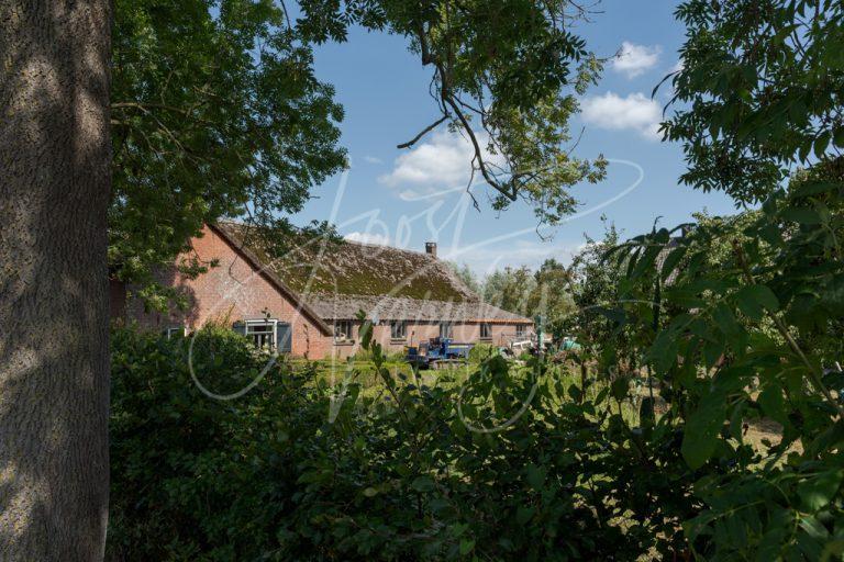 Doorkijkje naar vervallen boerderij D8102724