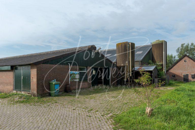 Oude schuren langs de Muisbroekseweg D8102839