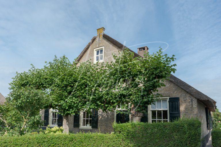 Monumentale boerderij Aan de Peursumseweg 103-105 D8102861