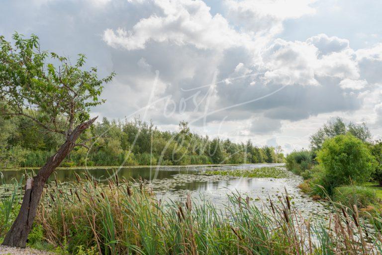 Riviertje de Oude Zederik bij Sluis D8102320