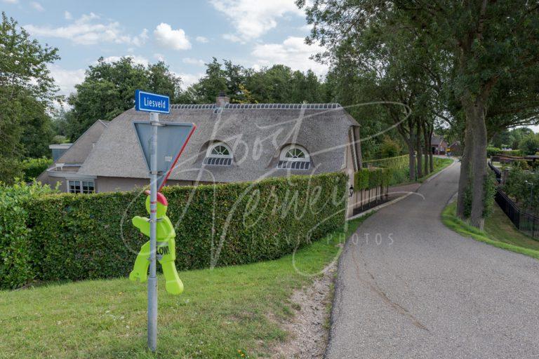 Laantje met bomen in buurtschap Liesveld D8102470