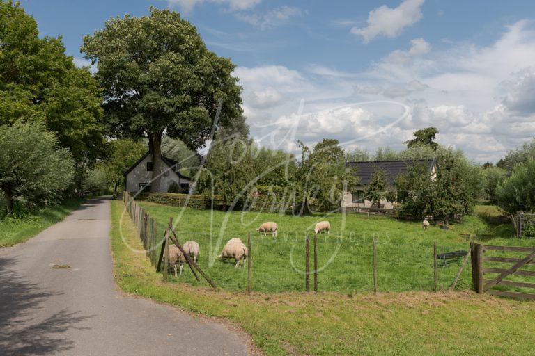 Landelijk wonen in het buurtschap Liesveld D8102484