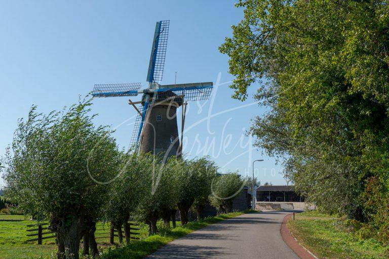 Korenmolen De Hoop D8103337