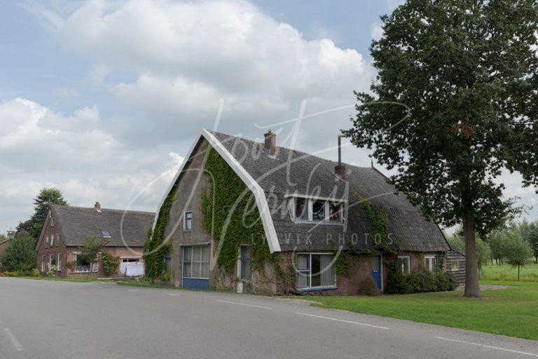 Boerderijen aan de Neerpolderseweg D8102955