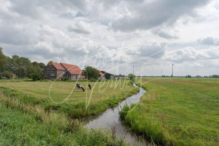 Poldergezicht Neerpolderseweg in Giessenburg D8102964