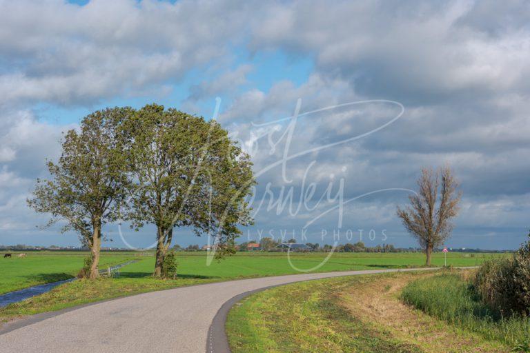 Poldergezicht in de Alblasserwaard D8103804