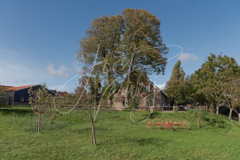 Boerderij Hemsdonk in Brandwijk D8103812