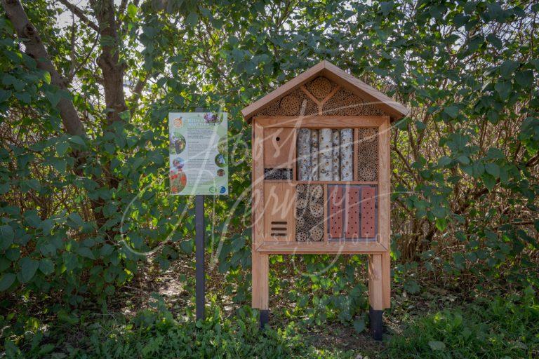 Bijen- en insectenhotel D8103815