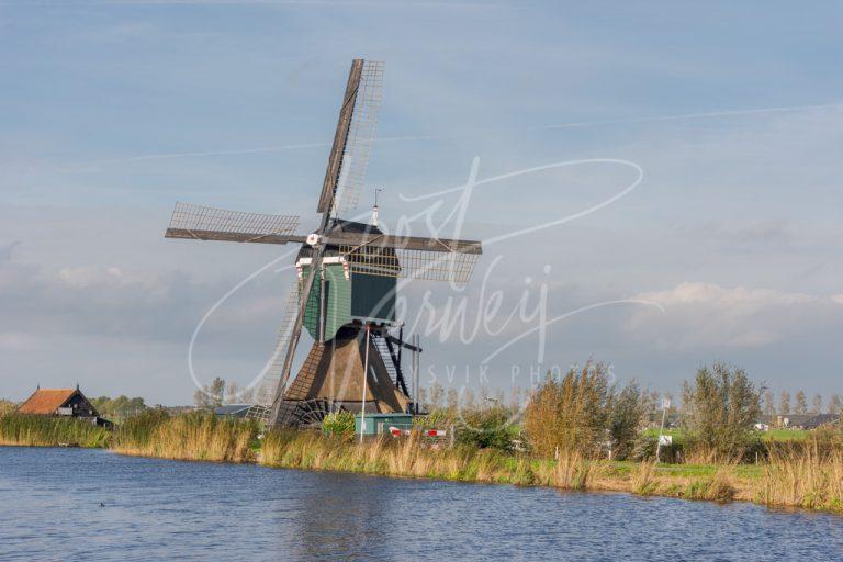 Achterlandse molen in Groot-Ammers D8104033