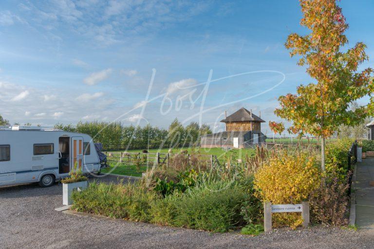 Mini-camping in polderlandschap D8104066