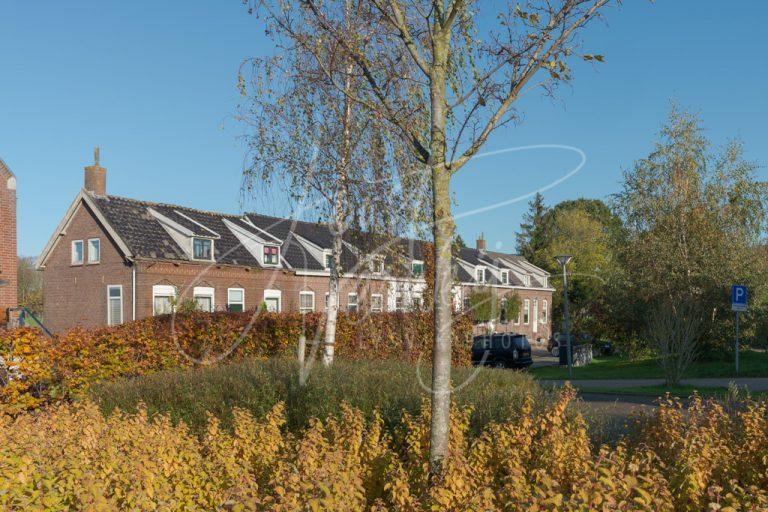 Woonhuizen aan de Kade in Alblasserdam D8E34822