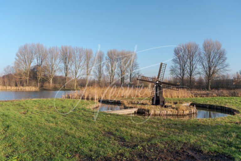 Weidemolen in Papendrecht D8104675