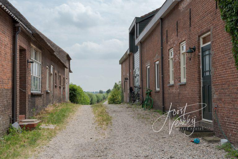 Oude boerderijen op woonheuvel in Minkeloos D8102011