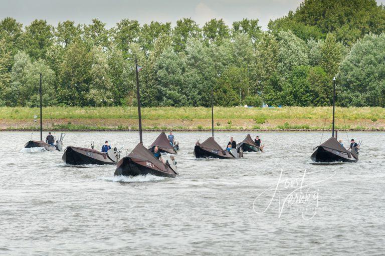 zalmschouwen op rivier de merwede