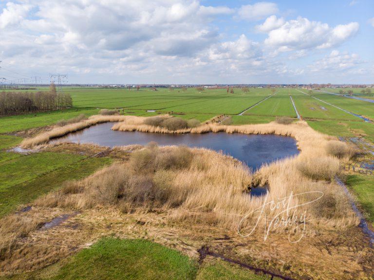 Waterplas in polder Alblasserwaard D00672