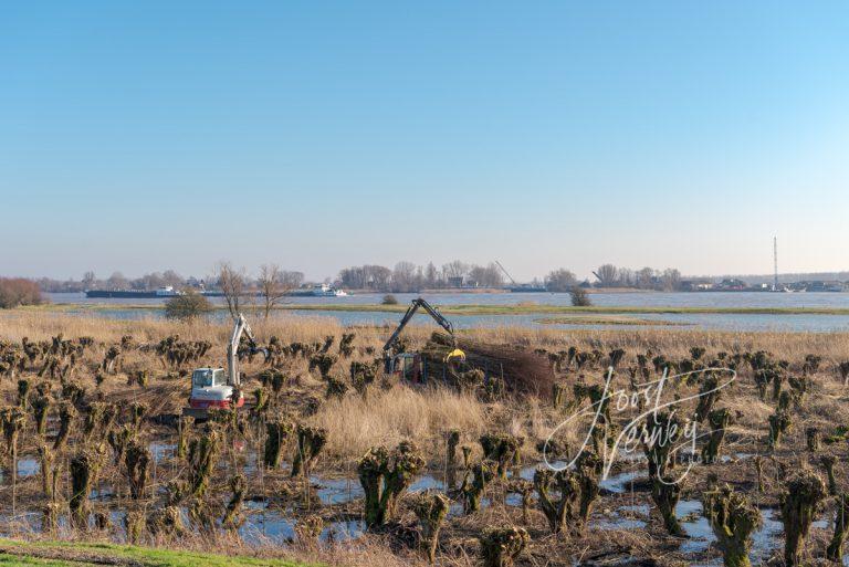 Rupsvoertuig met bundel wilgentakken D8105403