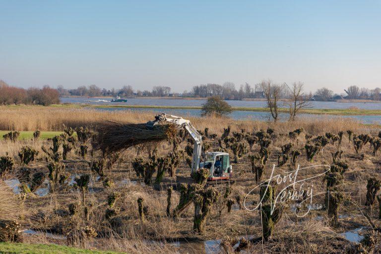 Rupsvoertuig met bundel wilgentakken D8105421