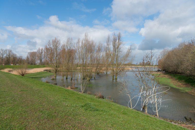 Hoog water bij Nieuwpoort D8135825