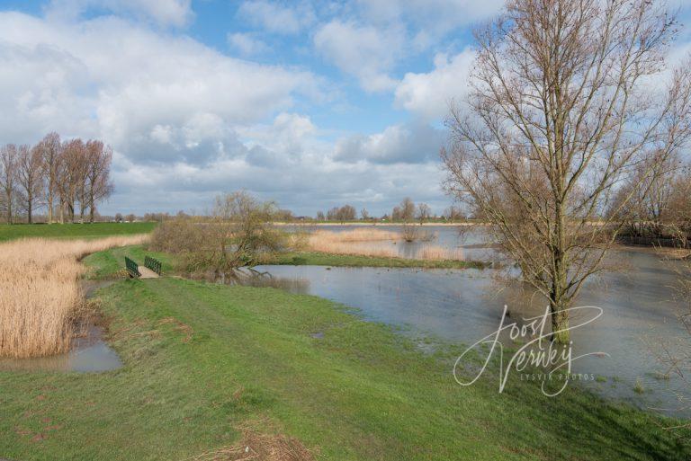 Hoog water bij Nieuwpoort D8135827