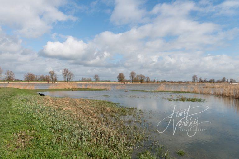 Hoog water bij Nieuwpoort D8135830