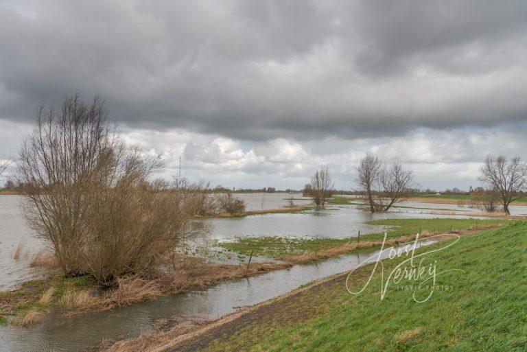 Hoog water in rivier de Lek D8135847