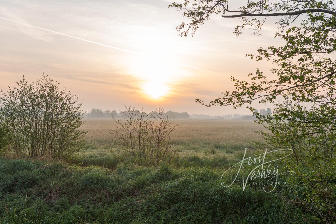 Doorkijkje bij zonsopkomst polder Achterhoven