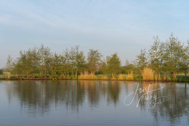 Plas bij natuurgebied de Zouweboezem