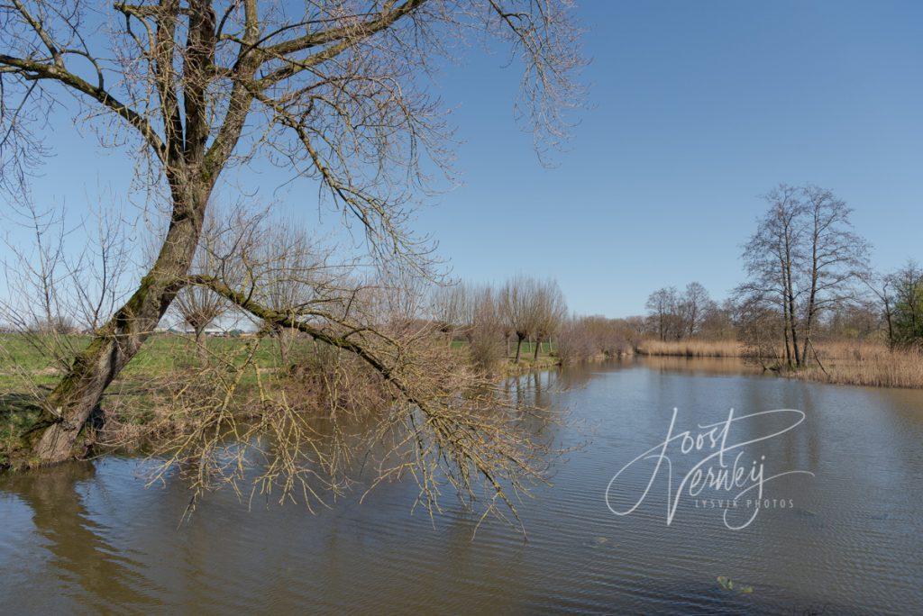 Waterpartij bij de Slingelandse plassen