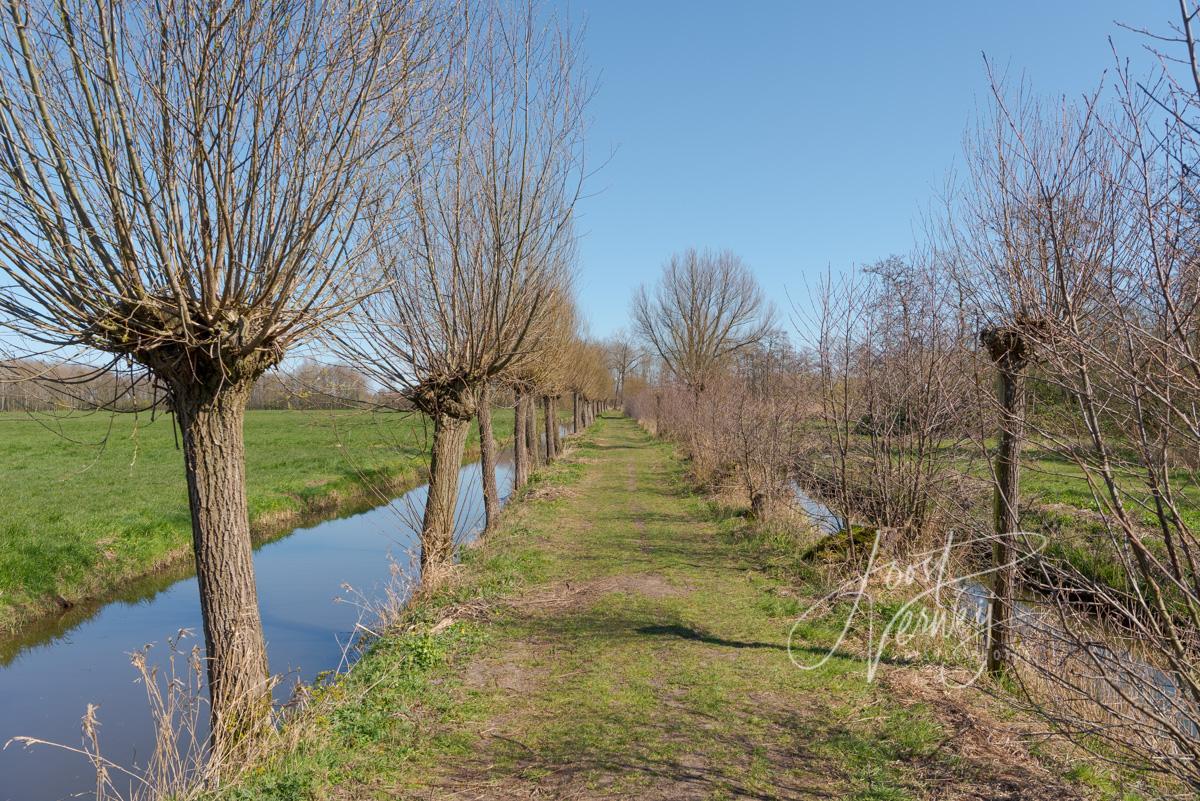 Tiendweg bij Slingelandse plassen