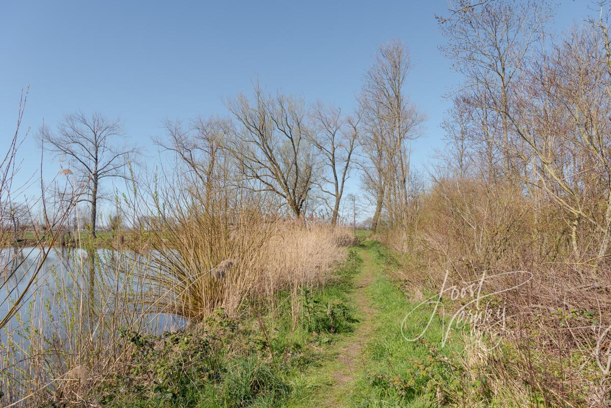 Pad langs Slingelandse plas
