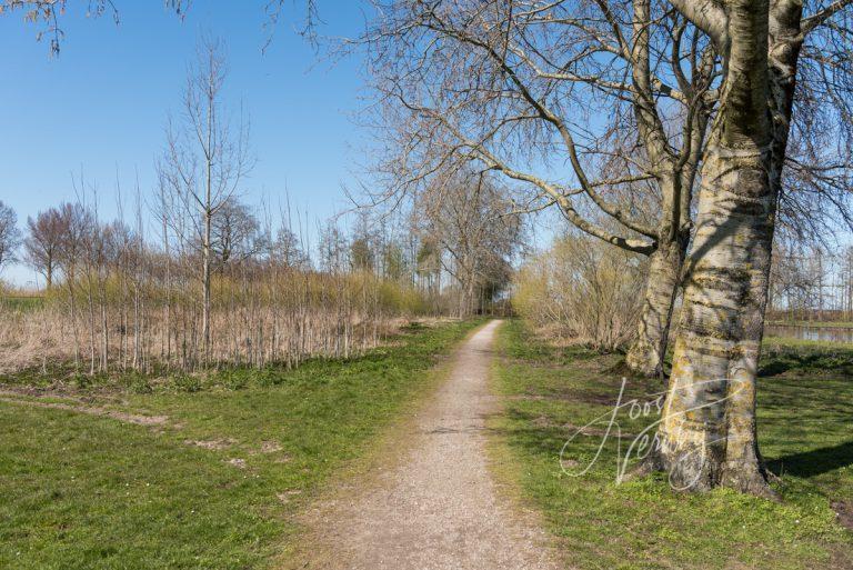 Wandelpad bij Slingelandse plassen